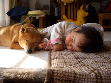 「なかよし」