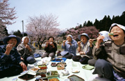 「花より団子」