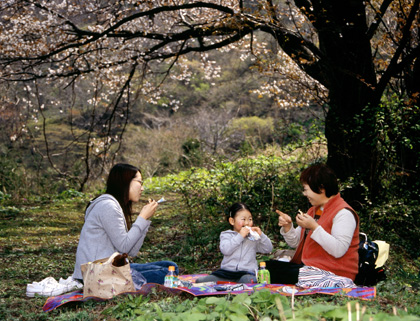 「桜の下で」