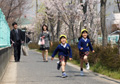 「今日から幼稚園」