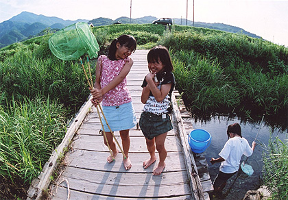 「夏の日」