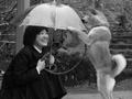 「目と目」