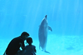「はじめての水族館」