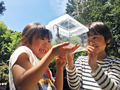 「おっかなびっくり好奇心」