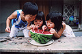 「夏休みのひととき」