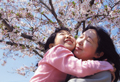「春の陽ざし」